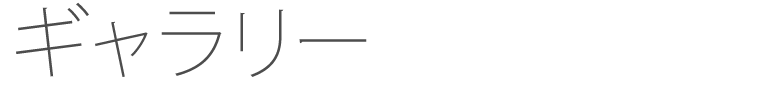 ギャラリー