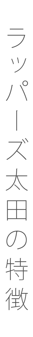 ラッパーズ太田の特徴